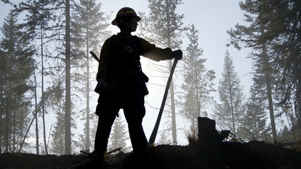 howlett fire departmentm Wild-and vegetation fire fighting